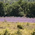 Vallée de l'Aygue (1)