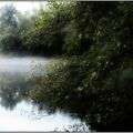 L'étang du Bran parsemé de brouillard.