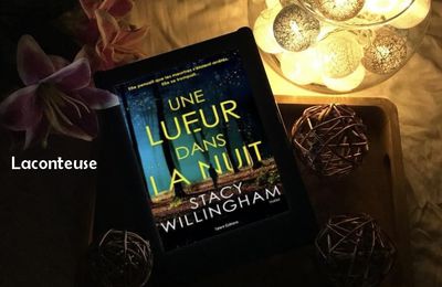 Une lueur dans la nuit - Stacy Willingham