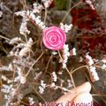 Les nouvelles fleurs du jardin