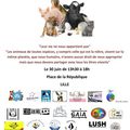 30 juin à Lille : journée pour la cause animale et le respect de toutes les vies 