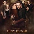 Sortie avancée de la BO de New Moon au 16 octobre