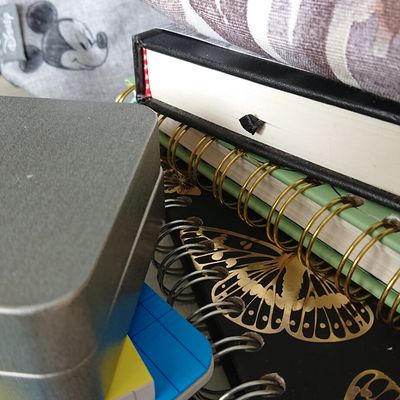 De retour à la création 