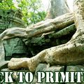 La jungle de Angkor