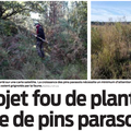 forêt