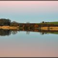 Reflets sur l'étang de Parroy en Meurthe et Moselle ...