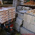 480 oeufs sur une Yamaha-marchè de Marrakech