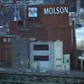 Molson vue de la tour du stade... La déformation