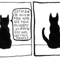 Les Aventures du Chat Noir #1