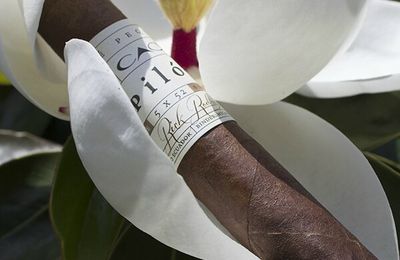 CAO Pilon Robusto