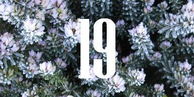 Dernières idées de cadeaux