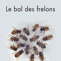 Le bal des frelons par Pascal Dessaint