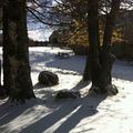 Sur le Lozère