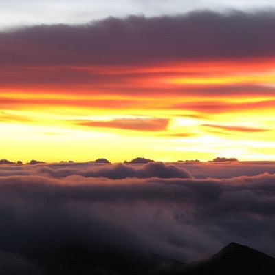 Maui, Maui, Maui et encore Maui