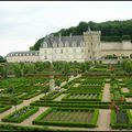 Jardins du château de Villandry (37)