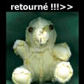 << A qui il est le nounours ?