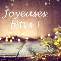 Joyeuses fêtes de Noël