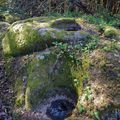 Randonnée du mardi 11 avril après-midi - Rochers à cupules La Roussille (63)