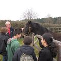 DAY THREE: Wednesday 24th March, Newmarket and Norwich