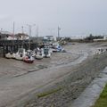 L'Eguille sur Seudre (Charente-Maritime)