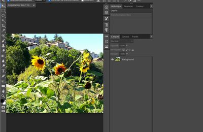                   LA  NOUVELLE VERSION DE PHOTOSHOP GRATUITE EN LIGNE : PHOTOPEA