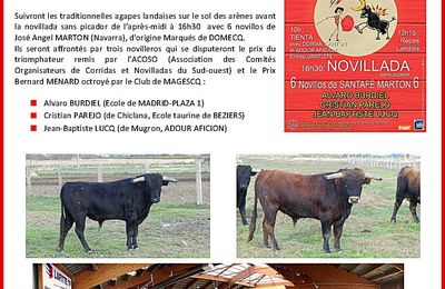 Novillada sans picadors Magescq 2020