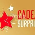 Un cadeau d'amitié