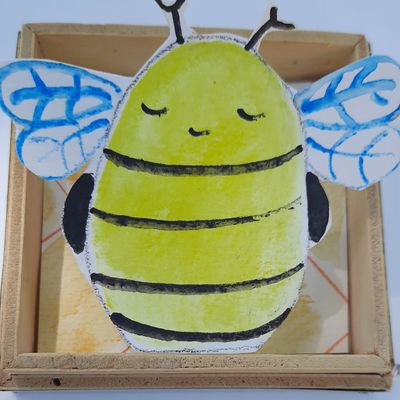 Ma petite collection d insectes !!!!