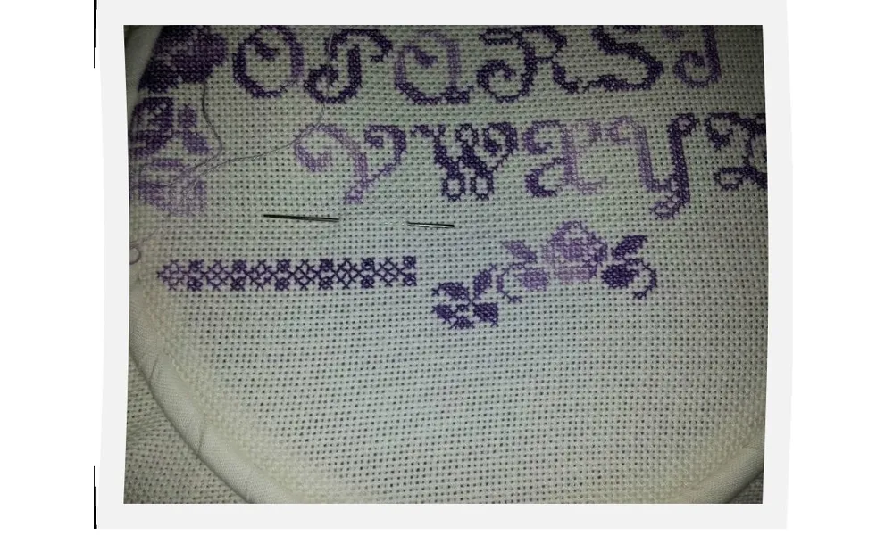 Roses Sampler #7