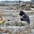 Fukushima, stop le massacre.