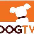 Zadig loves : DOG TV ?