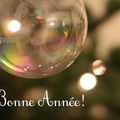 Belle et douce année à tous!