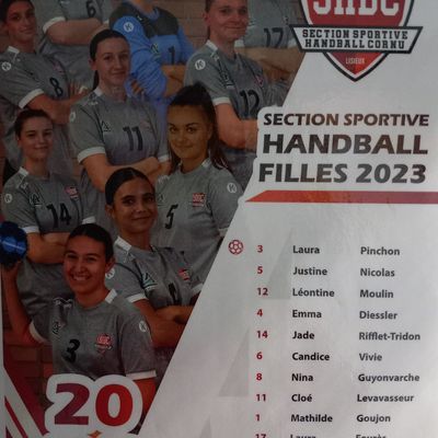 Section sportive handball : promo 2023