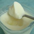 yaourts maison de base au sucralose pur (sans sucre)