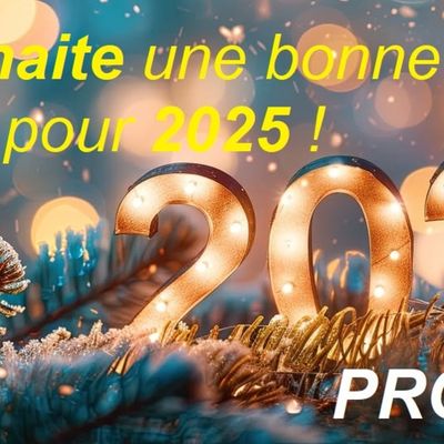 Au revoir 2024...