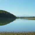 Enième(s) balades au lac de l’Astarac