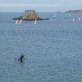 Bretagne suite: Saint Malo et Lancieux