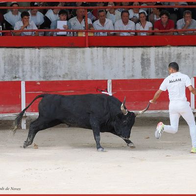 LES PALUDS DE NOVES