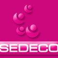 SEDECO : les valeurs de notre société offshore 
