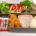 Bento Onigiri 