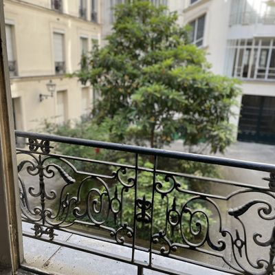 Un néflier devant ma fenêtre ...