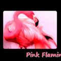 Défi des créatrices n°5 ... Pink Flamingo ... 