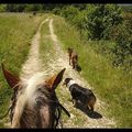 Rando de 2 jours avec les chevaux