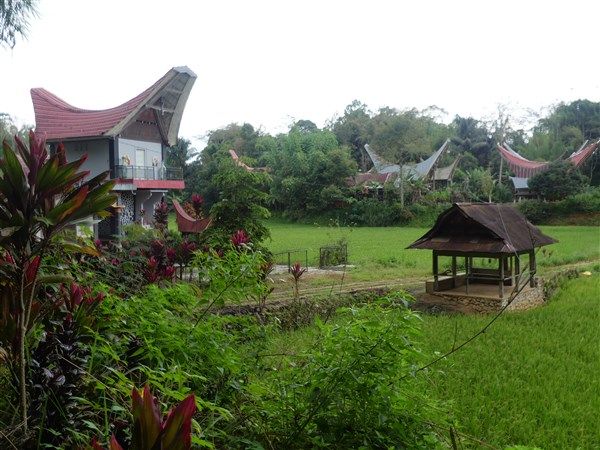 Voyage en Sulawesi - Visite de villages typiques Toraja et découverte des falaises de Lemo