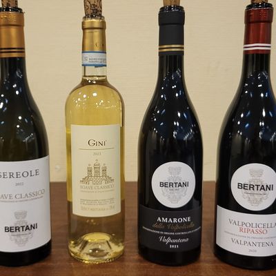 Vins dégustés en février 2025