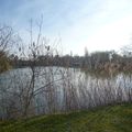 Promenade du dimanche