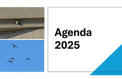 Agenda 2025
