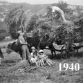 1940-2021 (200) - Épilogue - II L'agriculture