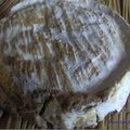 Fromages- Coulommiers