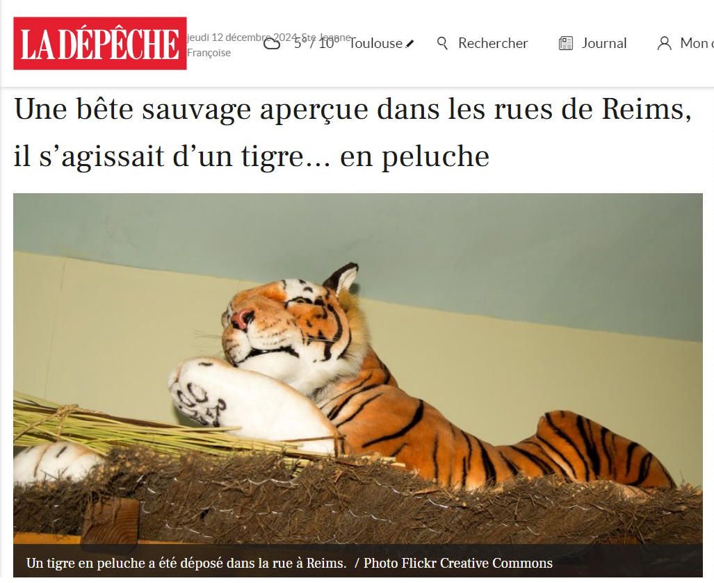 Alerte au tigre en peluche